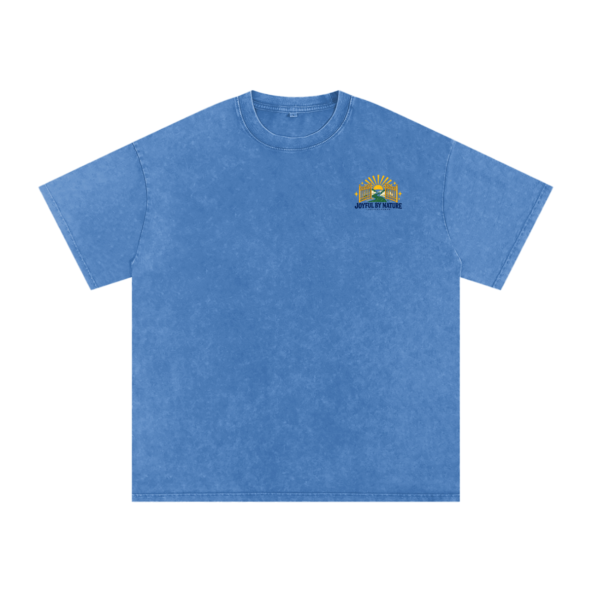 Joyful by Nature Oversized Tee