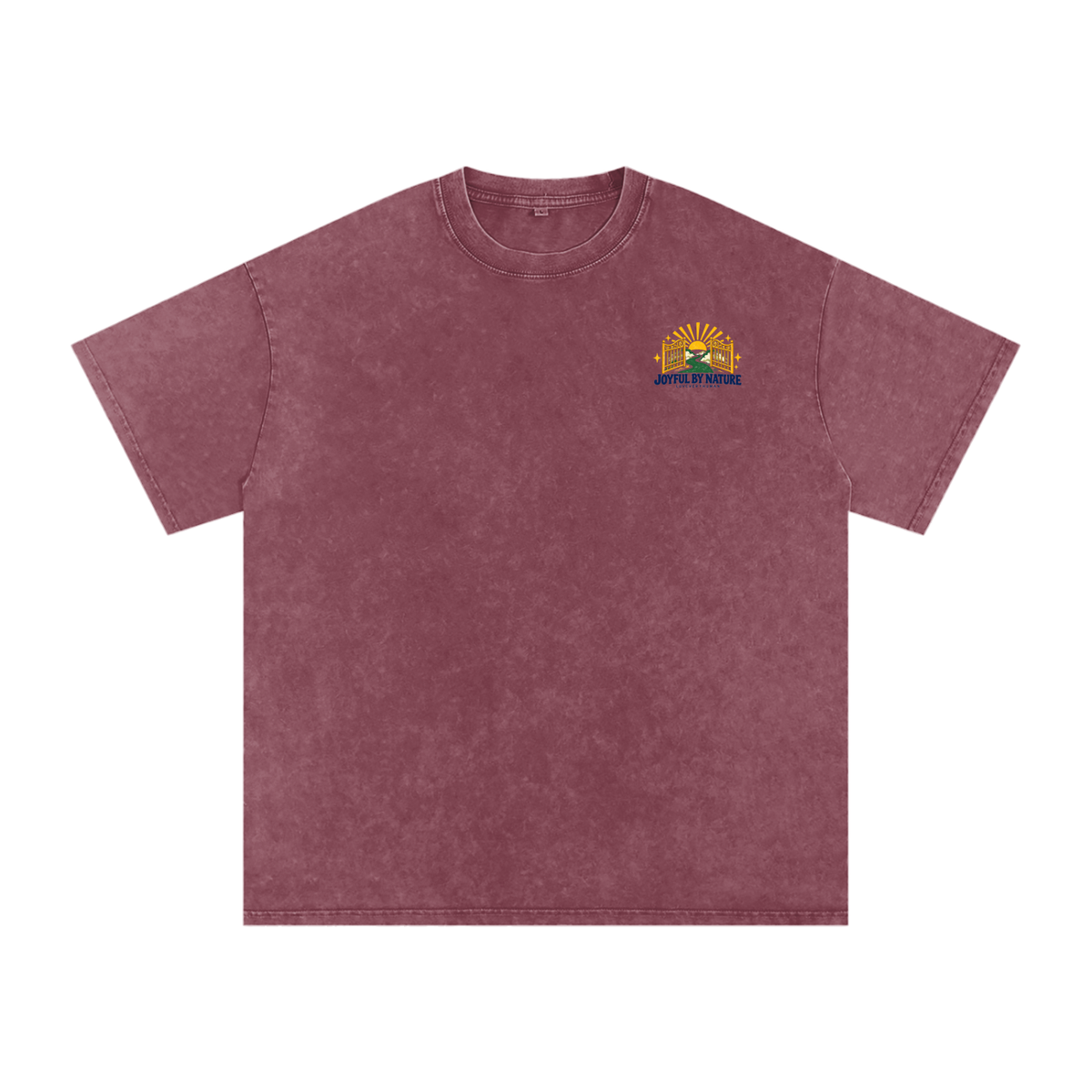 Joyful by Nature Oversized Tee
