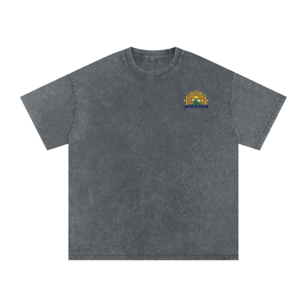 Joyful by Nature Oversized Tee